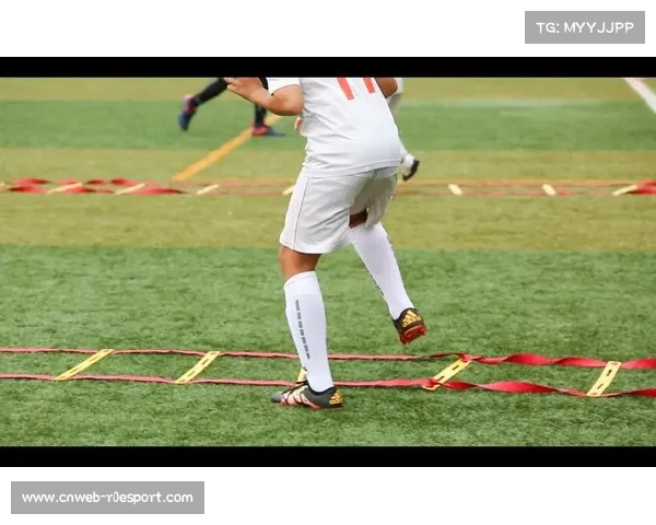 雷恩青训学业完成度评估：文化课与足球训练双轨制成功