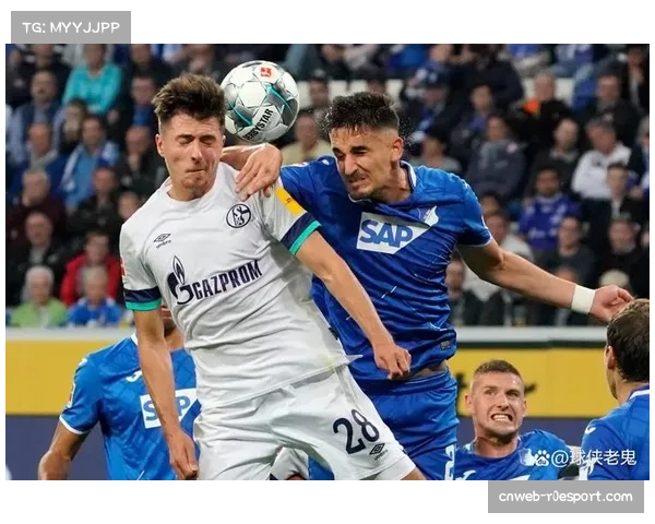 霍芬海姆2-2战平美因茨,两队各取一分但保级形势未变